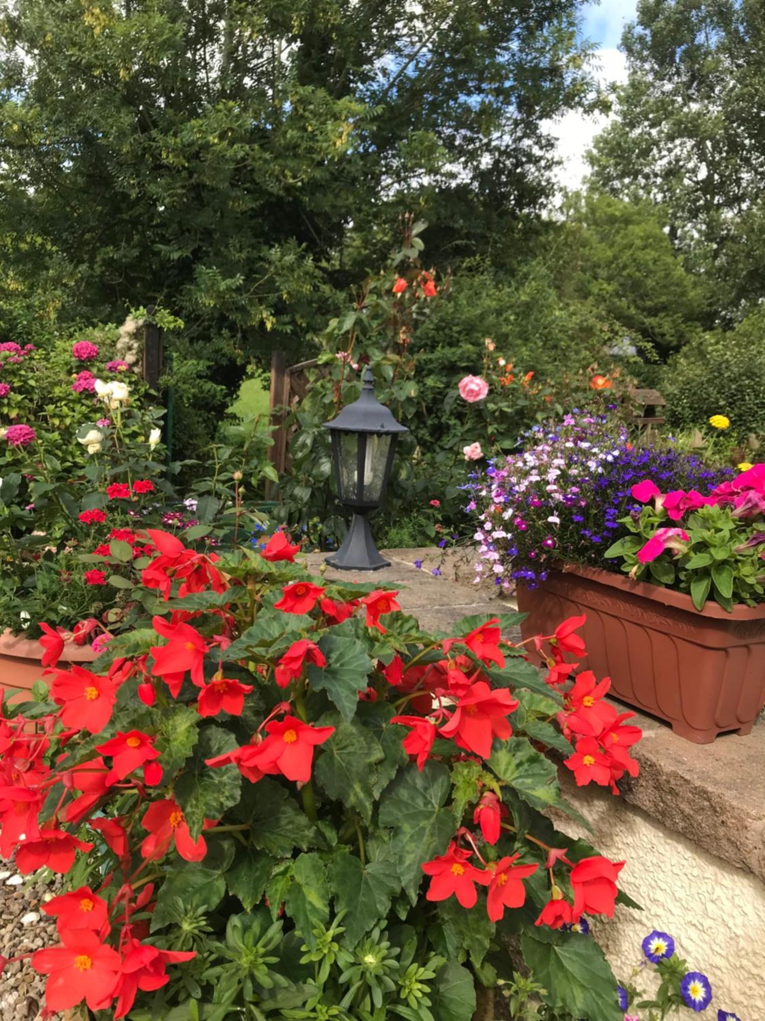 란 Old Mill House B&B 외부 사진