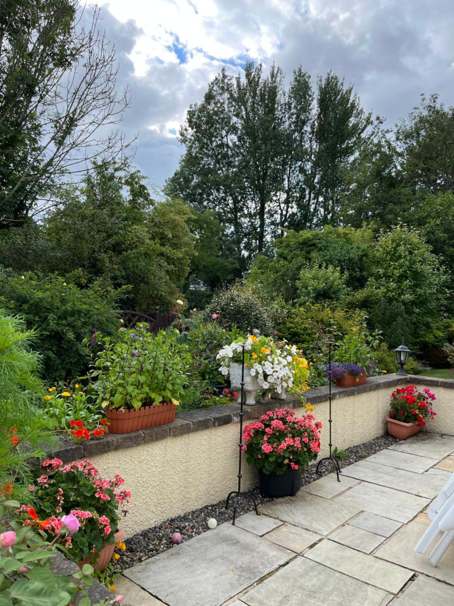 란 Old Mill House B&B 외부 사진
