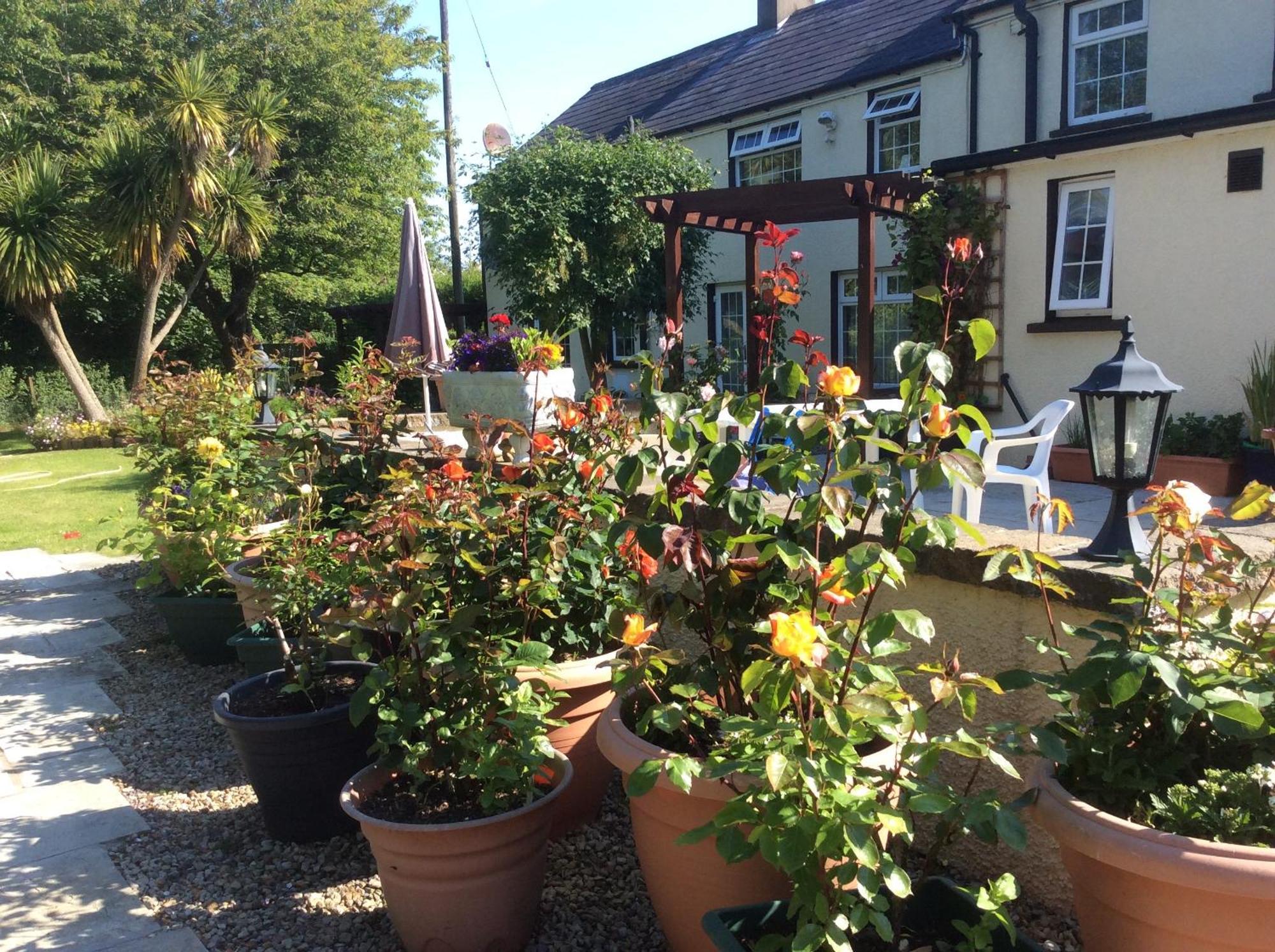란 Old Mill House B&B 외부 사진
